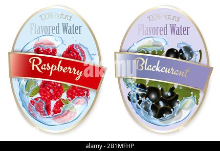 Set di etichette con frutta e frutti di bosco aromatizzati all'acqua. Lampone e curante nero. Vettore. Illustrazione Vettoriale
