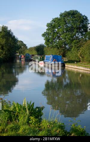 Barche del canale ormeggiate a lato del canale, Stockton, vicino Rugby, Warwickshire Foto Stock