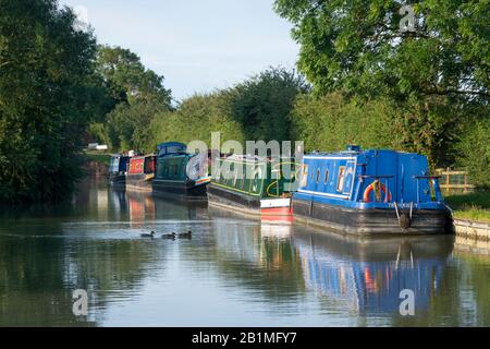 Barche del canale ormeggiate a lato del canale, Stockton, vicino Rugby, Warwickshire Foto Stock