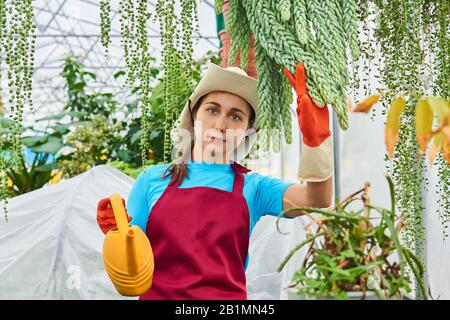 giovane donna con un'annaffiatura può lavorare in una serra tra piante ampelose Foto Stock