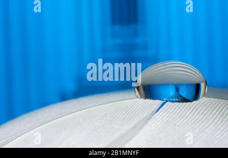 Wassertropfen auf Feder mit Metallspiegelung in classico-blu Foto Stock