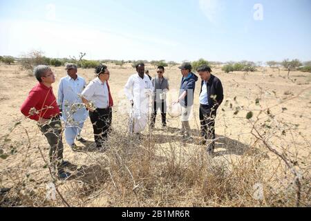 Sindh, Pakistan. 26th Feb, 2020. Gli esperti cinesi di locusta parlano con il personale locale di controllo delle locuste nel deserto di Tharparkar della provincia di Sindh, Pakistan, 26 febbraio 2020. Gli esperti cinesi di locusta mercoledì hanno ispezionato il deserto di Tharparkar, che è stato attaccato dalla locusta del deserto lo scorso novembre ed è riconosciuto come un luogo di allevamento estivo per la locusta. Credito: Liu Tian/Xinhua/Alamy Live News Foto Stock