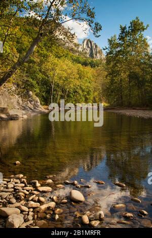 Vista autunnale del North Fork South Branch Potomac River, Seneca Rocks, Pendleton County, West Virginia Foto Stock
