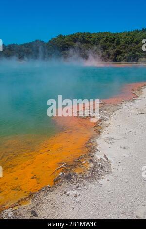 Riva di vapore odore a Wai-o-Tapu stagno di zolfo, Nuova Zelanda. Foto di scorta gratuita. Foto Stock