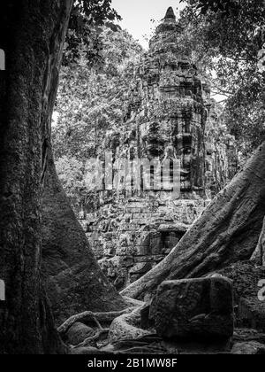 Immagine della porta della Vittoria, ad est di Angkor Thom; Angkor Wat Archeological Park, Siem Reap, Cambogia. Foto Stock