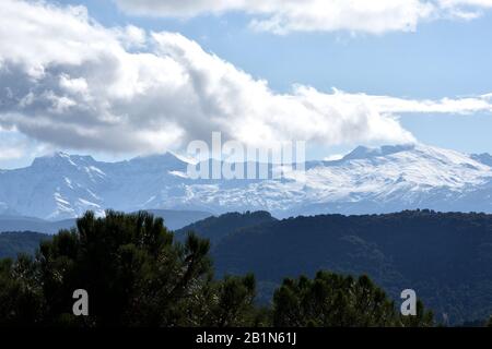 Sierra Nevada con vista sulla neve dal parco naturale della Sierra de Huétor a Granada con colline di pinete di fronte e un intenso cielo blu con Foto Stock