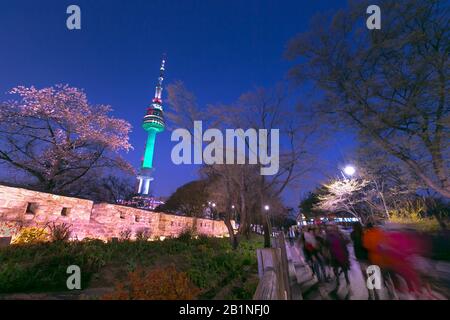 Seoul, COREA - 13 aprile 2019: Torre di Seoul in primavera di notte e Persone che Camminano Durante il festival dei fiori di ciliegio Alla Torre N Seoul, sud K. Foto Stock