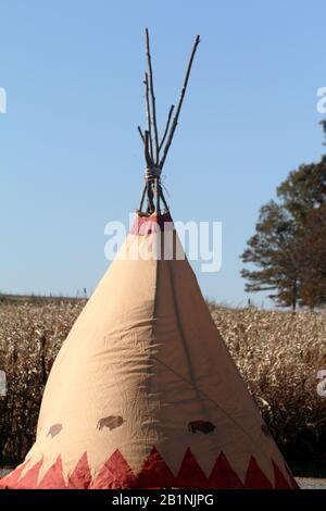 Teepee decorativo vicino a Cornfield in una fattoria in Virginia, Stati Uniti Foto Stock