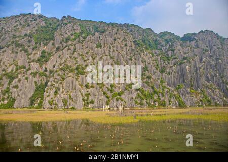 Bellissimo paesaggio naturale bello all'interno della riserva naturale di Van Long, Vietnam. Foto Stock