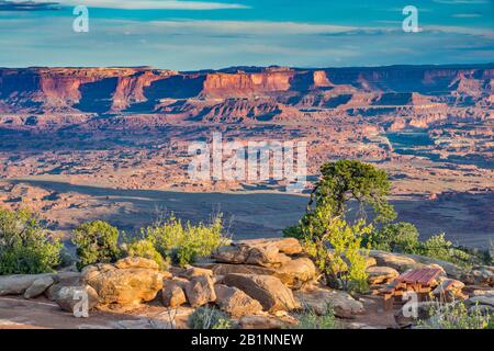 Vista generale dell'area del parco nazionale di Canyonlands all'alba, da Needles Overlook in Bears Ears National Monument, Utah, USA Foto Stock