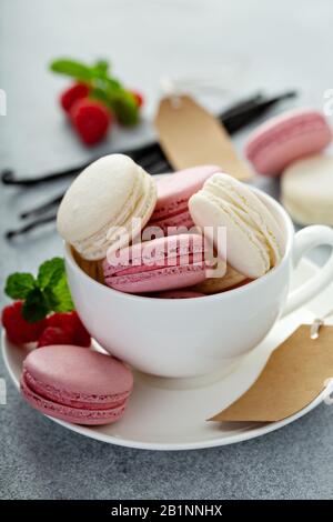 Macaron di vaniglia e lampone in un teacup Foto Stock