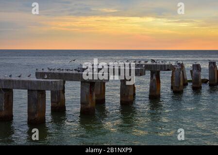 Pilings Del Molo Dilapidati Della Spiaggia Di Boca Grande, Tramonto Della Spiaggia Della Florida Del Sud-Ovest, Crepuscolo Del Golfo Del Messico, Seagulls Su Un Molo, Paesaggio Dell'Alba Dell'Oceano Foto Stock