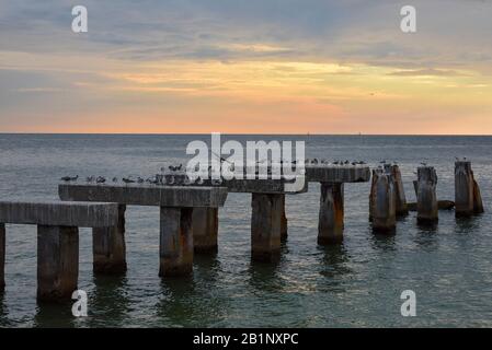 Pilings Del Molo Dilapidati Della Spiaggia Di Boca Grande, Tramonto Della Spiaggia Della Florida Del Sud-Ovest, Crepuscolo Del Golfo Del Messico, Seagulls Su Un Molo, Paesaggio Dell'Alba Dell'Oceano Foto Stock