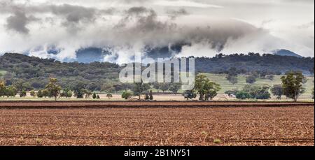 La scena agricola in Australia rurale Foto Stock