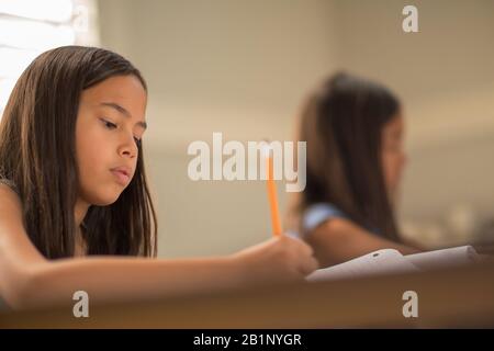 Ragazze Giovani Che Lavorano Al Loro Lavoro Scolastico Foto Stock