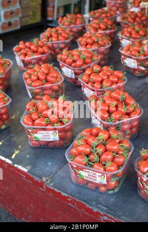 Pomodori rossi freschi in vendita al Carmel Market (Shuk Hacarmel), il più grande mercato di Tel Aviv, Israele Foto Stock