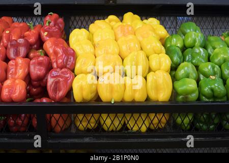 Peperoni freschi rossi, gialli e verdi in vendita al Carmel Market (Shuk Hacarmel), il più grande mercato di Tel Aviv, Israele. Capsicum annuum Foto Stock