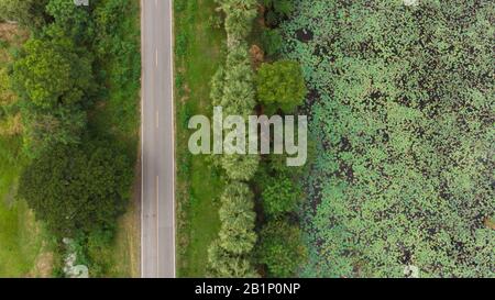 Vista dall'alto del percorso attraverso gli alberi e il campo. Dal drone Foto Stock