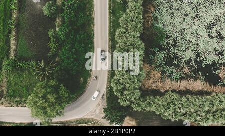 Vista dall'alto del percorso attraverso gli alberi e il campo. Dal drone Foto Stock