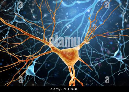 3D Illustrazione della struttura Dei Neuroni cerebrali umani. Un'illustrazione ad alta risoluzione, 3D della struttura Dei Neuroni del cervello umano. Un'alta risoluzione. Foto Stock
