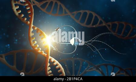 Concetto medico nel campo della nanotecnologia. Ingegneria genetica e uso di nanorobati per sostituire parte della molecola di DNA. Figura 3 D. Foto Stock