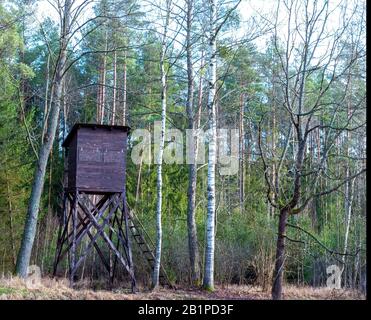 capanna di cacciatore d'epoca in foresta Foto Stock