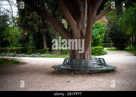 Atene, Grecia, sentieri nazionali per giardini e panca circolare metallica intorno al tronco degli alberi nel parco urbano. Foto Stock