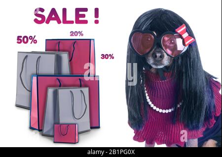 Elegante cane ragazza alla moda e pacchetti shopping isolato, concetto di shopping e vendite Foto Stock