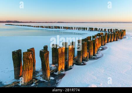 Messaggi sul lago Duemmer al tramonto invernale, Germania, bassa Sassonia, Duemmerlohhausen Foto Stock