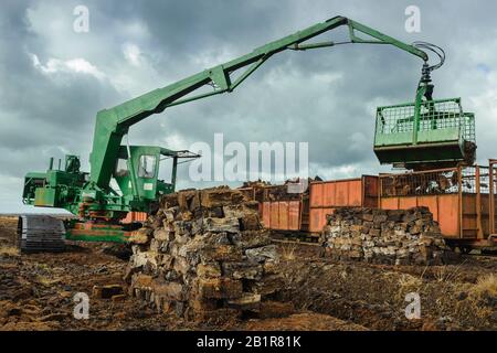 Carico di torba con un escavatore su carri, estrazione torba Goldenstedter Moor, Germania, Bassa Sassonia, Goldenstedter Moor Foto Stock