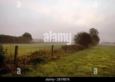 , Alberi con colorazione autunnale mentre una mattina nebbia, Germania, Baviera Foto Stock