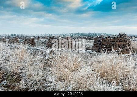 Zolle di torba in inverno, Germania, bassa Sassonia, Goldenstedter Moor Foto Stock