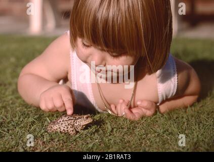 bambina, bambino, sdraiata sull'erba che tocca un rospo Foto Stock