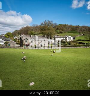 Vicino Sawrey, Cumbria, Inghilterra. Una soleggiata vista primaverile del villaggio di Cumbrian nel Lake District inglese, sede dell'autore dei bambini Beatrix Potter. Foto Stock