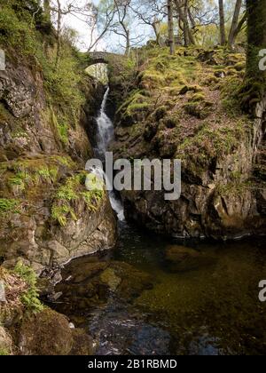 Cascata Di Aira Force, Distretto Dei Laghi Inglese. Una vista della cascata dell'Aira Force vicino Ullswater, Cumbria, Inghilterra. Foto Stock