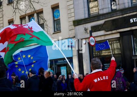 La protesta della Brexit svoltasi a Cardiff il 1st di febbraio 2020 Foto Stock