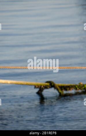 Old Mossy Rope Nel Mare Foto Stock