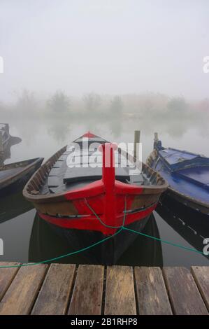 Pesca in barca nel porto di Catarroja. Valencia.L'Albufera. Foto Stock