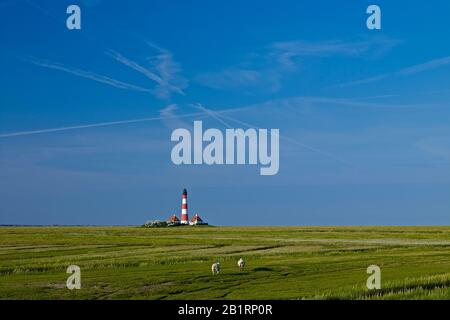 Faro Di Westerhersand, Penisola Di Eiderstedt, Frisia Settentrionale, Schleswig-Holstein, Germania, Foto Stock