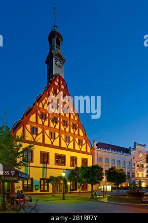 Gewandhaus e municipio di Zwickau, Sassonia, Germania, Foto Stock