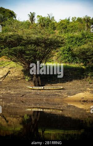 Canoa, Paesaggio, Comunità Terra Preta, Iranduba, Amazonas, Brasile Foto Stock