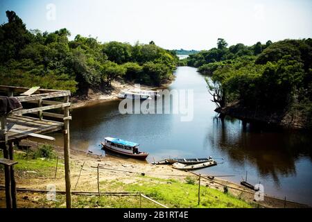 Paesaggio, Natura, Comunità Di Terra Preta, Iranduba, Amazonas, Brasile Foto Stock