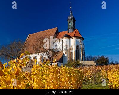 Chiesa Maria Im Weingarten Nei Pressi Di Volkach Am Main, Bassa Franconia, Baviera, Germania Foto Stock
