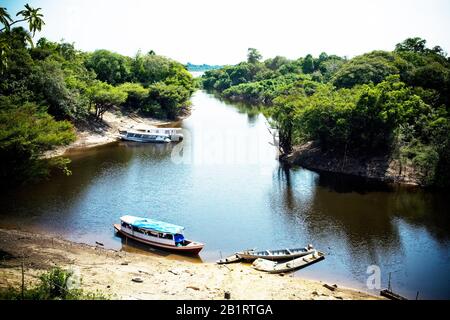 Paesaggio, Natura, Comunità Di Terra Preta, Iranduba, Amazonas, Brasile Foto Stock