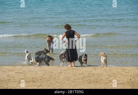Spaziergänger, Sandstrand, Hundestrand, Tel Aviv, Israele Foto Stock