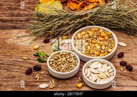 Dieta equilibrata per roditori domestici. Miscela assortita di grano e semi, erbe secche, frutta fresca. Vecchio sfondo di legno, primo piano Foto Stock