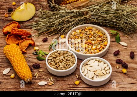 Dieta equilibrata per roditori domestici. Miscela assortita di grano e semi, erbe secche, frutta fresca. Vecchio sfondo di legno, primo piano Foto Stock