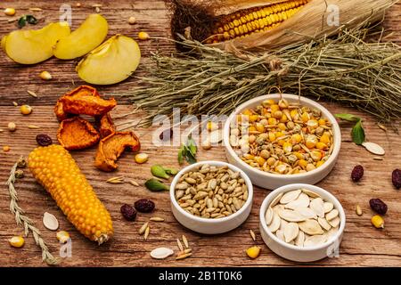 Dieta equilibrata per roditori domestici. Miscela assortita di grano e semi, erbe secche, frutta fresca. Vecchio sfondo di legno, primo piano Foto Stock