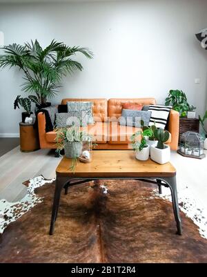 Luminoso e moderno soggiorno con divano in pelle marrone e numerose piante di casa che creano una giungla urbana Foto Stock