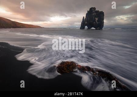 Famosa Rhino Rock chiamata Hvitserkur accanto a Osar nel Nord Islanda. Foto Stock